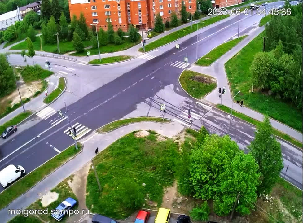 ️ МЕДВЕДЬ В ПЕТРОЗАВОДСКЕ Сегодня около пяти | Подслушано в ПТЗ ...