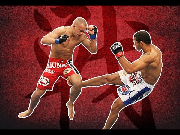 José Aldos destructive leg kicks