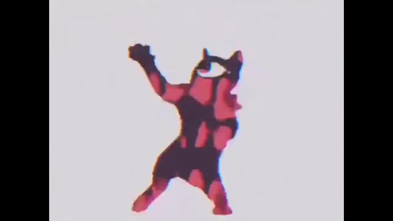 серый кот танцует. шнип шнап шнапи кот гиф. кот танцует. танцующий котик. рюкзак шни шна шнапи.