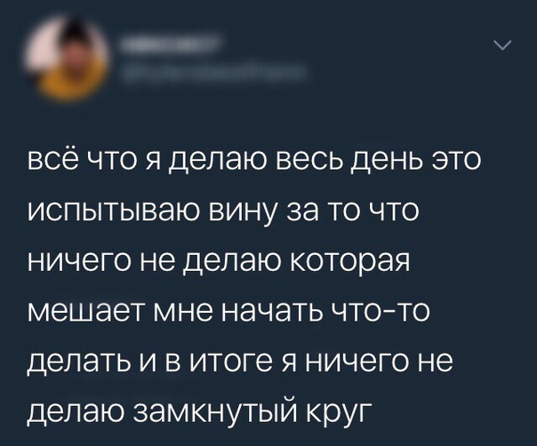 веселые картинки