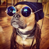 Фотография профиля Влада Зайцева ВКонтакте