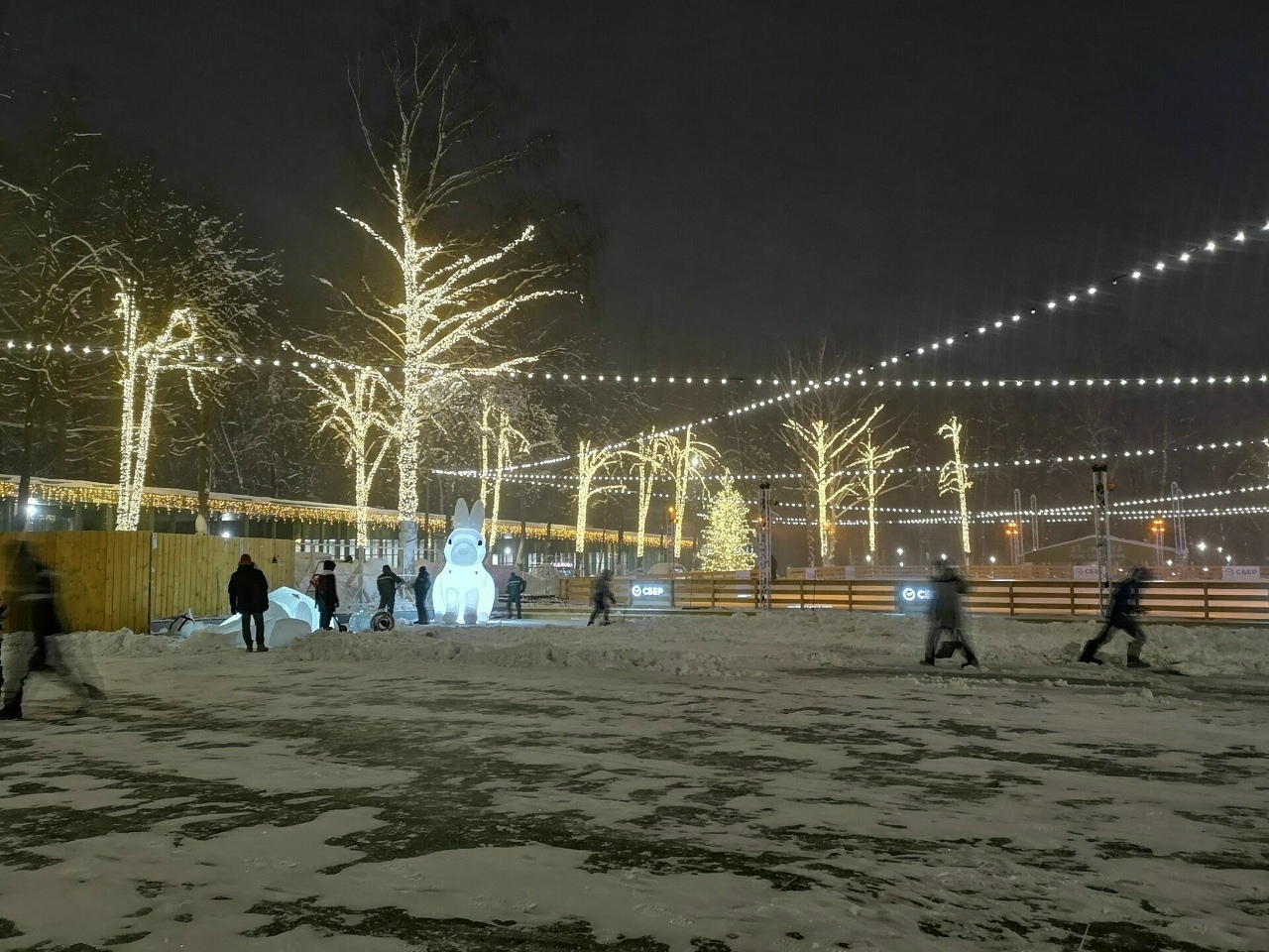 каток в парке швейцария