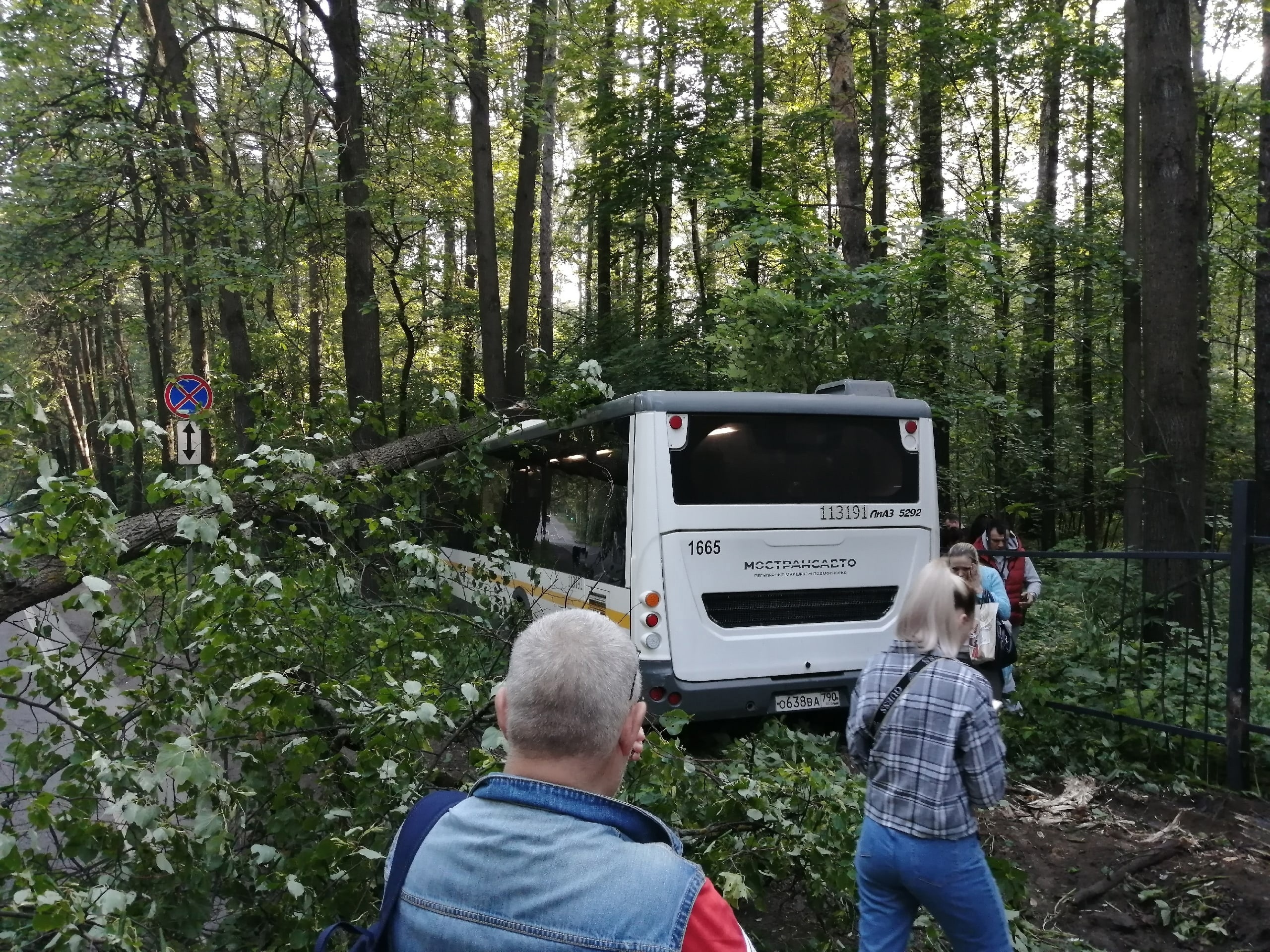 На главной аллее Измайловского парка сегодня утром произошло ДТП с автобусом №385, следовавшим из Балашихи к метро "Партизанская" Это картинка