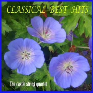 Classical Best Hits