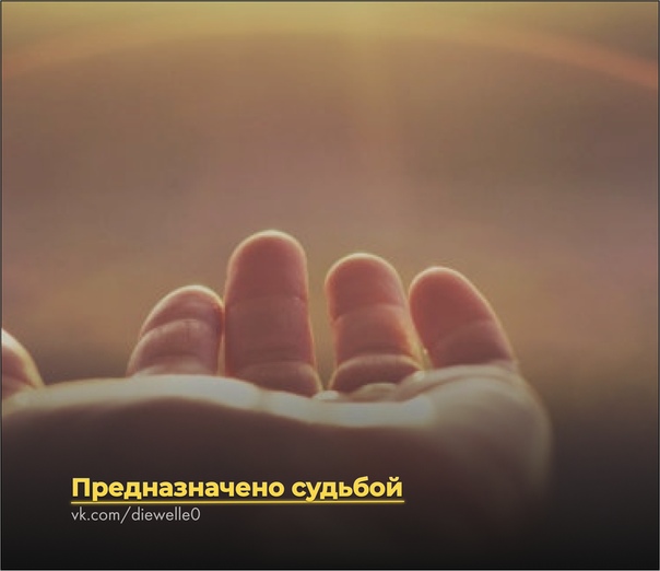 Предназначено судьбой Арчи тридцать шесть, и он верит, что у Вселенной совершенно долбанутое чувство юмора, (обычно) верит в себя и в то, что практически все люди безнадёжные идиоты. А ещё верит